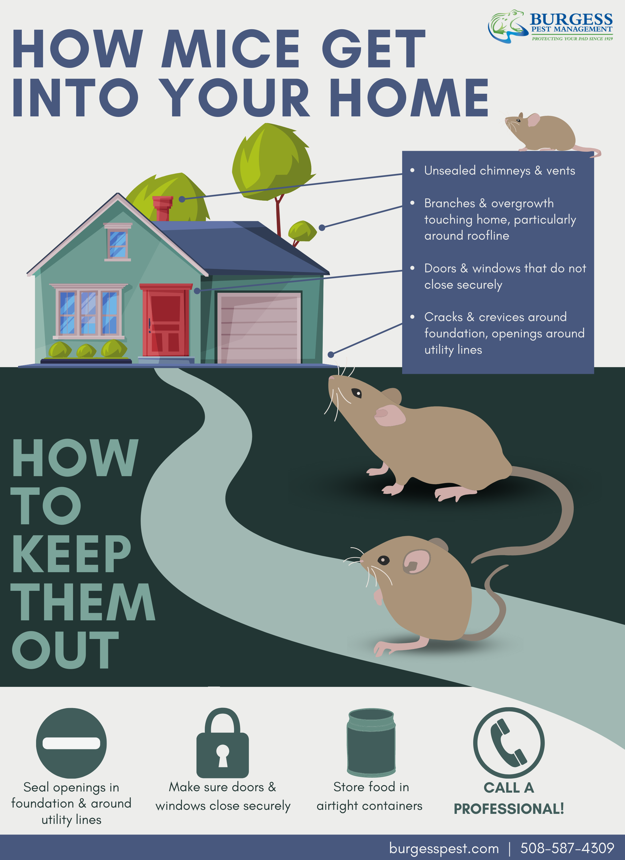 How Mice Get Inside Your South Shore Home [Infographic]